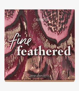 Nueva Colección / Fine Feathered
